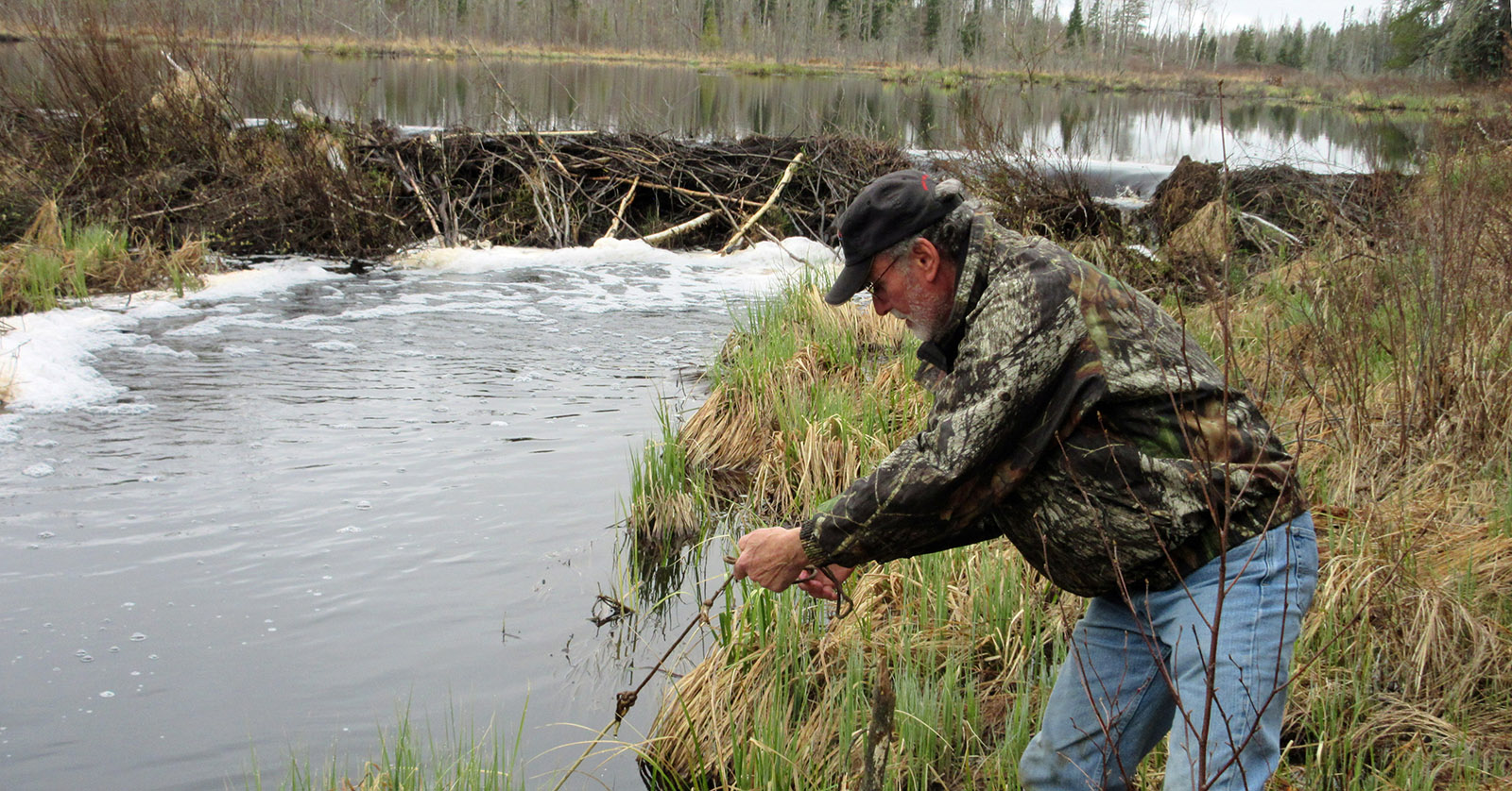Minnow Trapping … A Rite of Spring