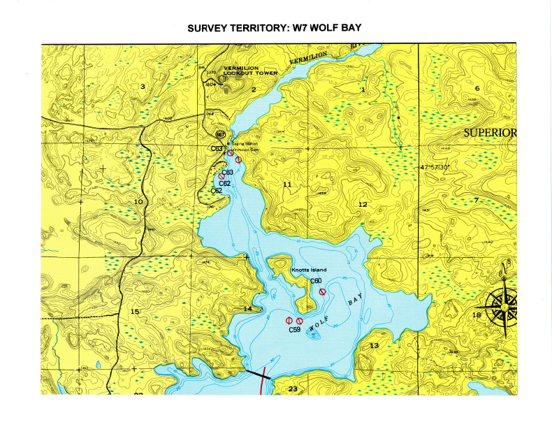 Loon Territories Vermilion Lake Association